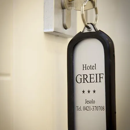 Greif 酒店 3*